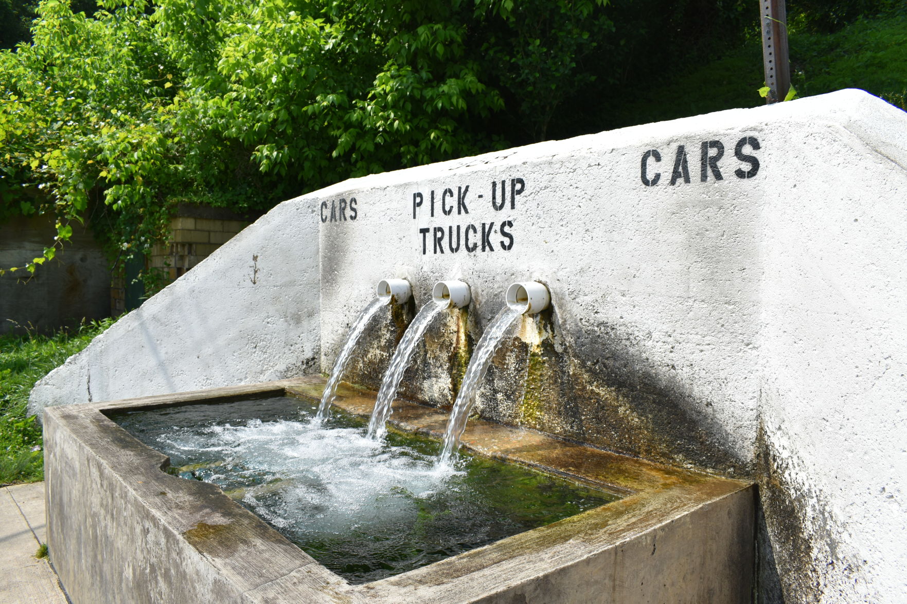 Buchtel watering trough spring